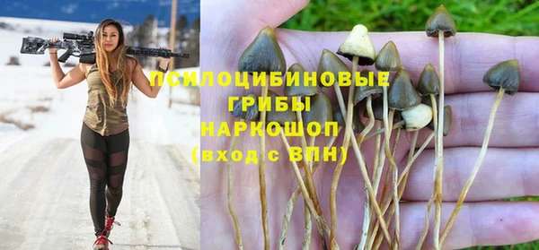 трава Алексин