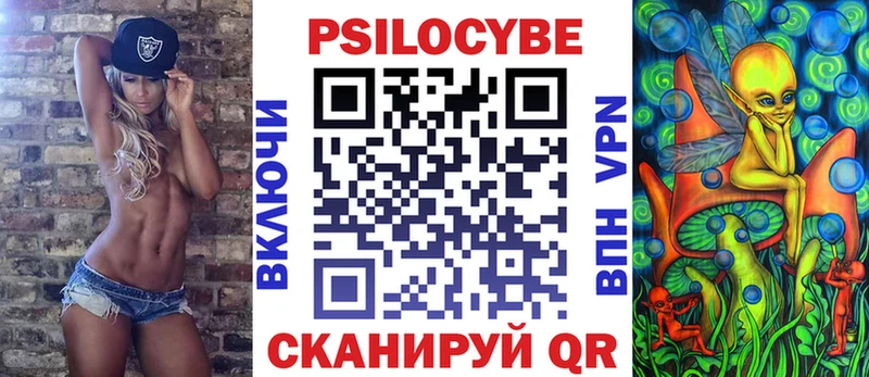 продажа наркотиков  Малаховка  Галлюциногенные грибы Psilocybine cubensis 